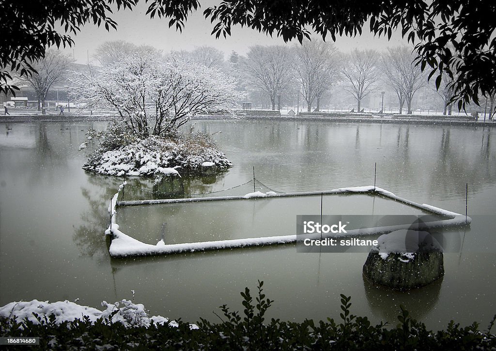 Inverno Japonês Lago gelo - Foto de stock de Inverno royalty-free