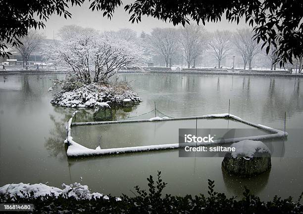 Japão Inverno Lagoa De Gelo - Fotografias de stock e mais imagens de Inverno - Inverno, Peixe, Pequeno Lago