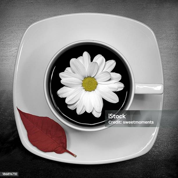 Daisykaffee Stockfoto und mehr Bilder von Arrangieren - Arrangieren, Blatt - Pflanzenbestandteile, Blume