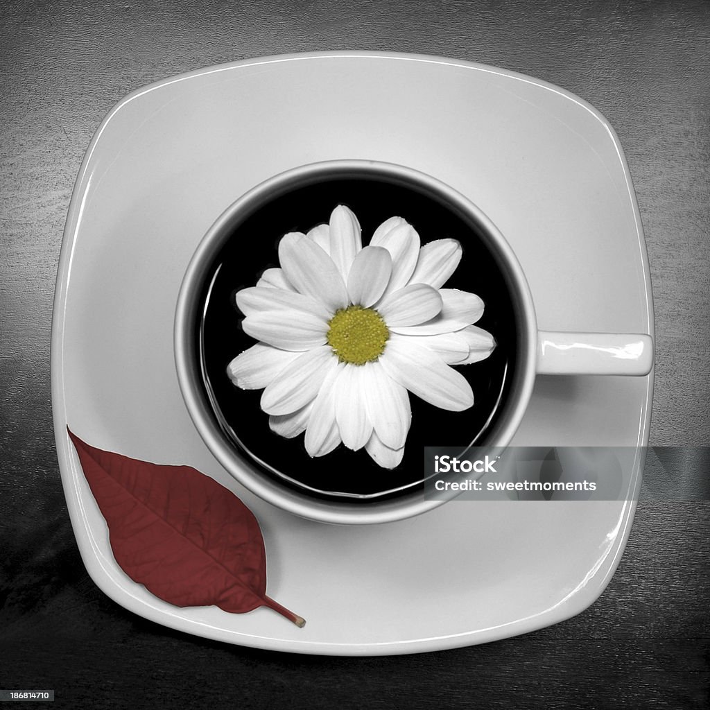 daisy kawy - Zbiór zdjęć royalty-free (Aranżować)