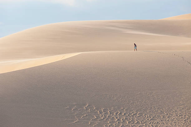 istock sand slider walking in desert 186814887