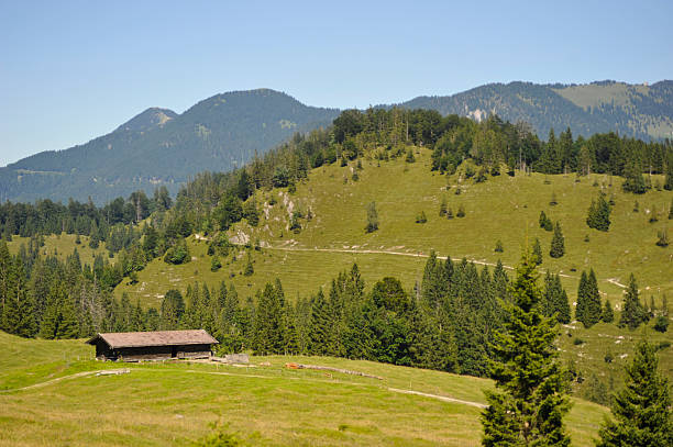 istock alpine view - Alpine pasture with green meadow 186814949