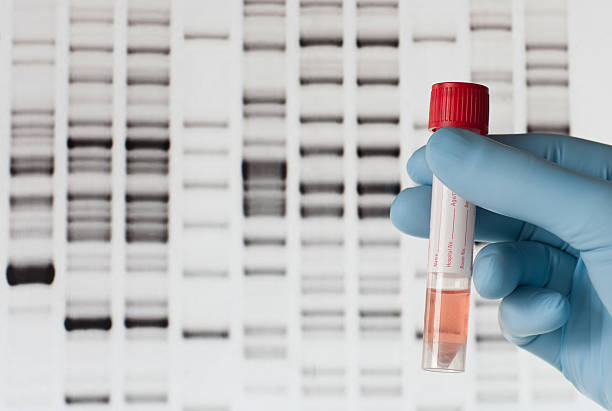 dna-test - gentest stock-fotos und bilder