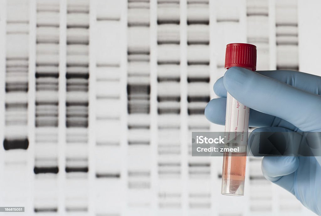 の DNA テスト - 医療検査のロイヤリティフリーストックフォト
