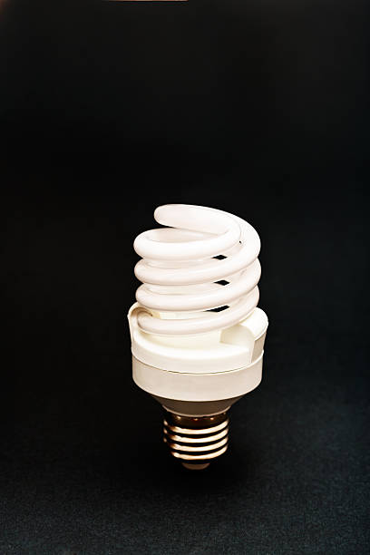 istock Saving energy, the environment, and money: a compact fluorescent lightbulb 186815068
