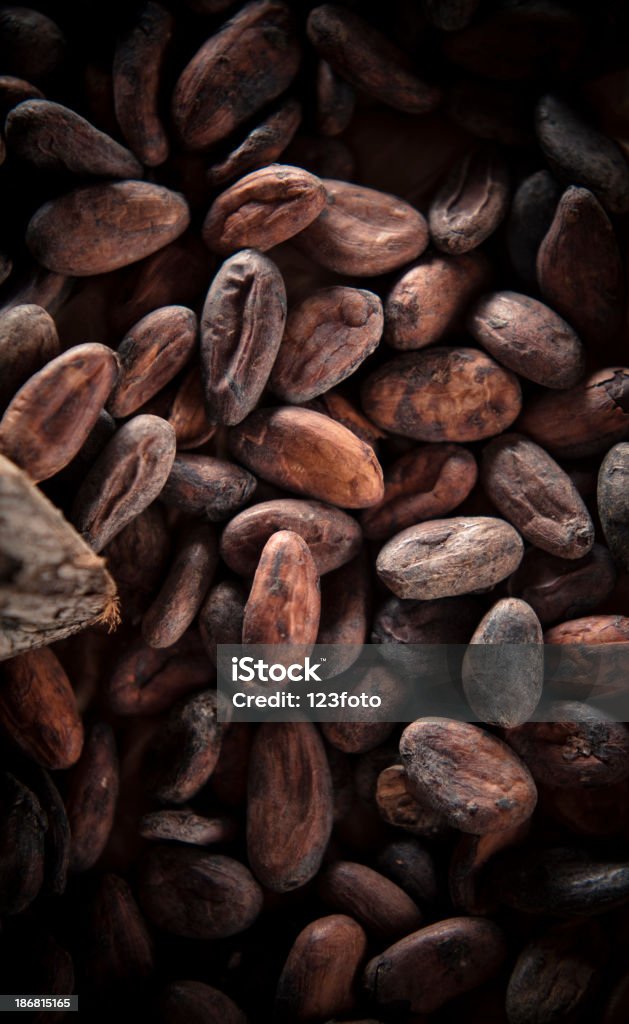 Cocoa Beans Cocoa beans close up Cocoa Bean Stock Photo