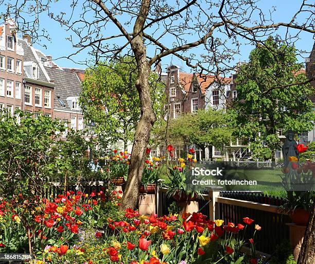 Niederländische Häuser In Amsterdam Stockfoto und mehr Bilder von Amsterdam - Amsterdam, Beneluxländer, Blume