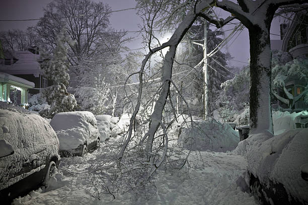 albero caduto in strada con neve - blizzard house storm snow foto e immagini stock