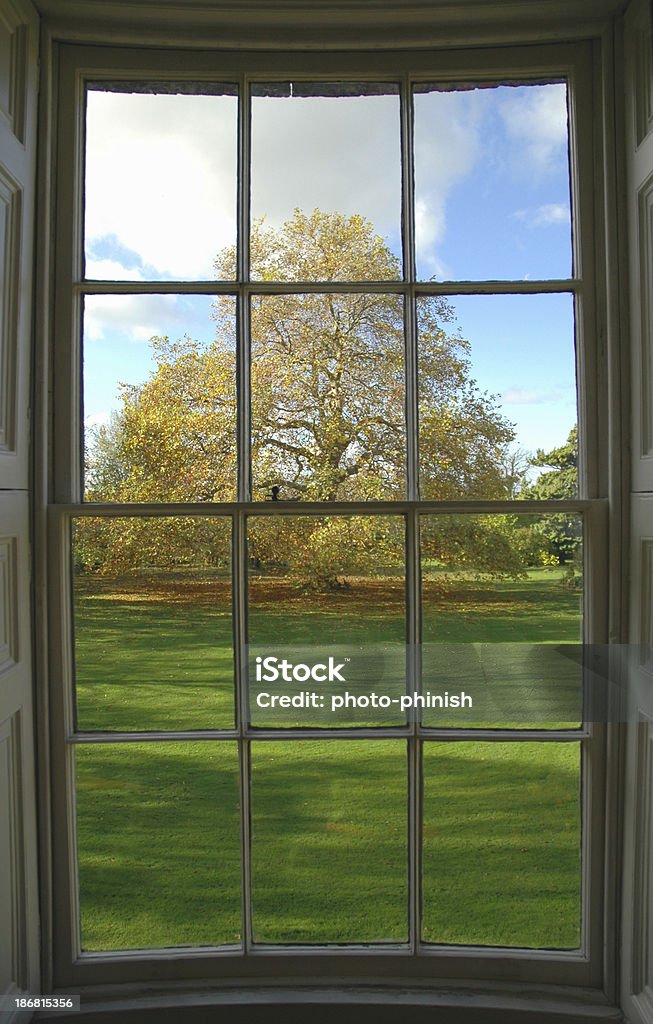 Jesienią drzewa z okna - Zbiór zdjęć royalty-free (Majestatyczny)
