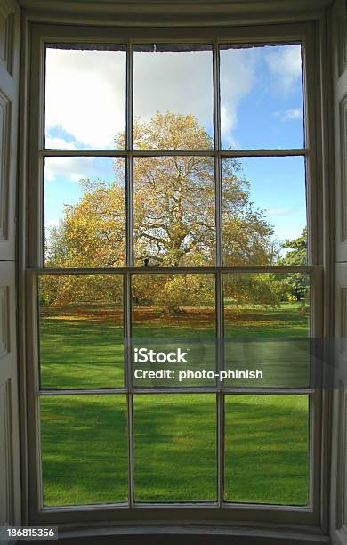 Jesienią Drzewa Z Okna - zdjęcia stockowe i więcej obrazów Majestatyczny - Majestatyczny, Ogródek przydomowy, Londyn - Anglia