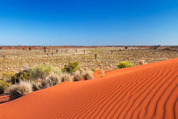 istock Red send dune on a clear day, Northern Territory, Australia 186815745