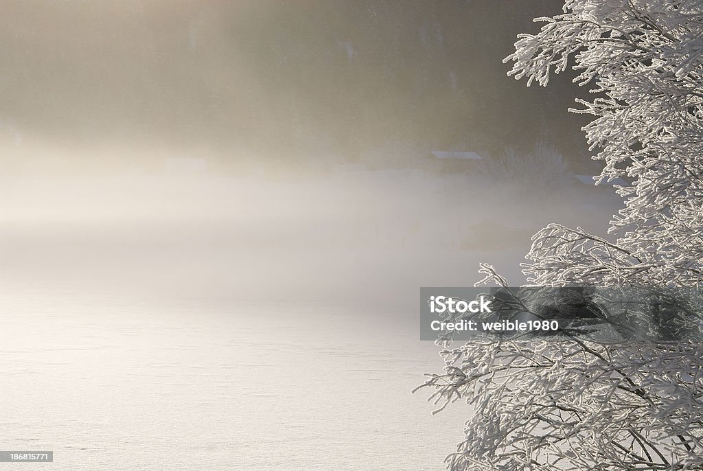 Nebel über einem See in der Nähe der gefrorene bush - Lizenzfrei Ast - Pflanzenbestandteil Stock-Foto