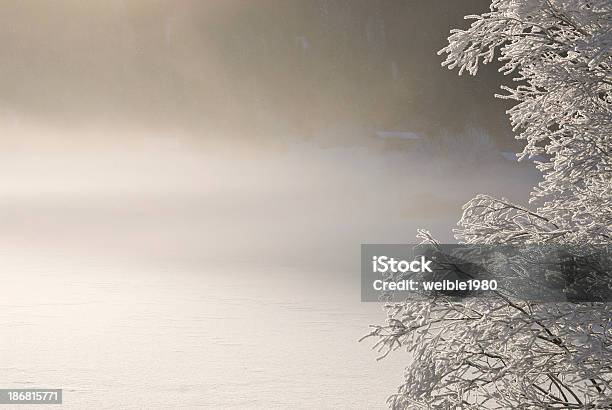 Nebel Über Einem See In Der Nähe Der Gefrorene Bush Stockfoto und mehr Bilder von Ast - Pflanzenbestandteil
