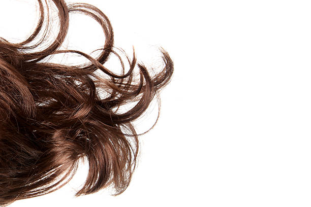 istock Bad hair day 186816333