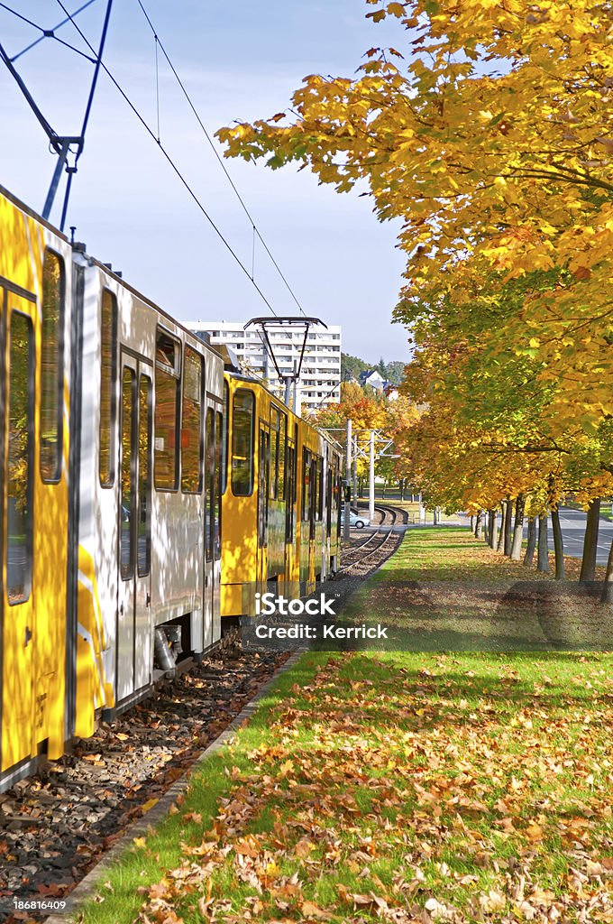 White-żółte Tramwaje w jesień, miasta Gera, Turyngia Niemcy - Zbiór zdjęć royalty-free (Aleja)