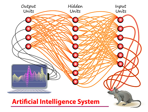 Science Mouse Neural Network Stylized Deep Neural Networks Activity In Mouse Brain Artificial ...