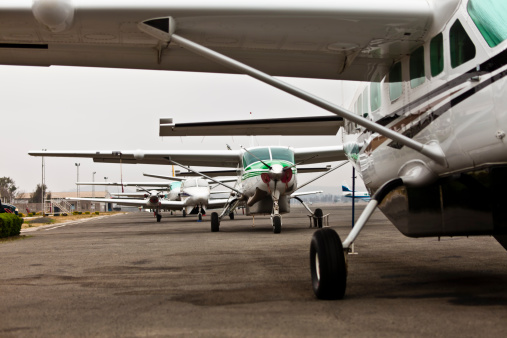 A row of small aircraft used to ferry passengers to and from numerous dirt strips in the bush of Northern Tanzania.