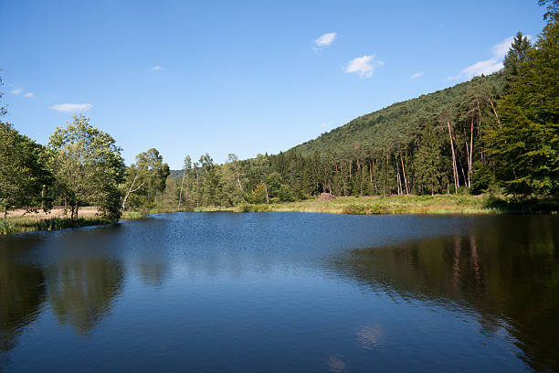 istock lake in Palatine Forest 186817491