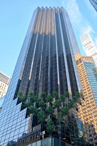 new-york city archtecture in downtown sunny light day. High quality photo