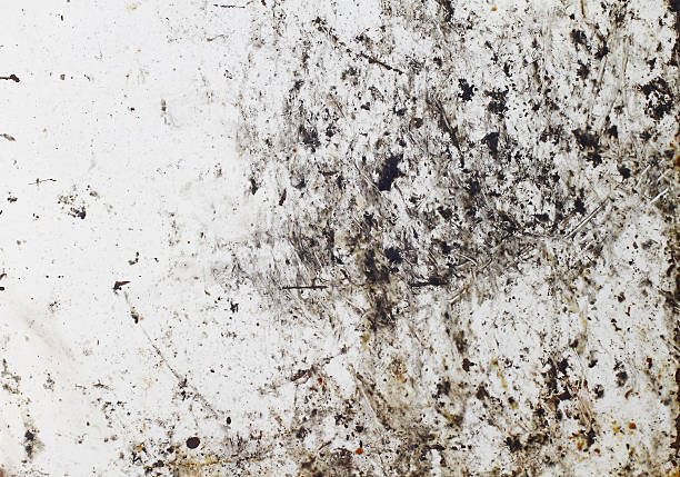 A dirty white and gray background Dirty Background mud stock pictures, royalty-free photos & images