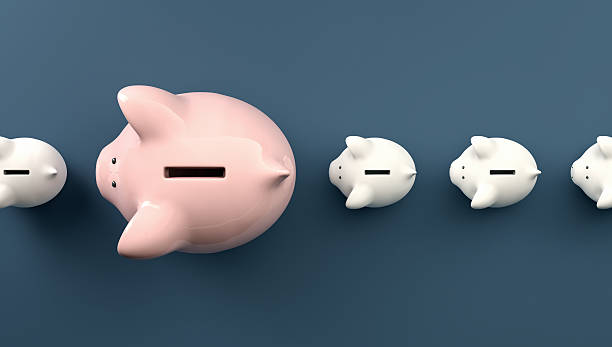 Row with a large piggy bank