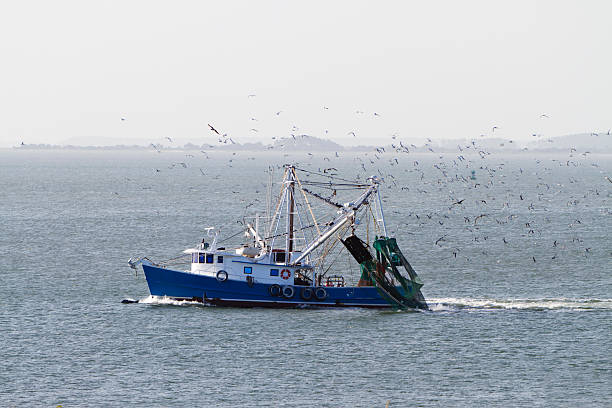 istock Shrimp Fishing Boat 186817934