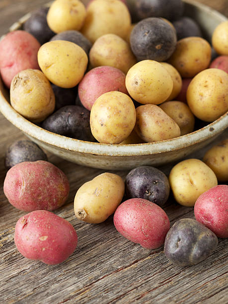 istock Raw multi-colored small potatoes in ceramic bowl on wood 186818314