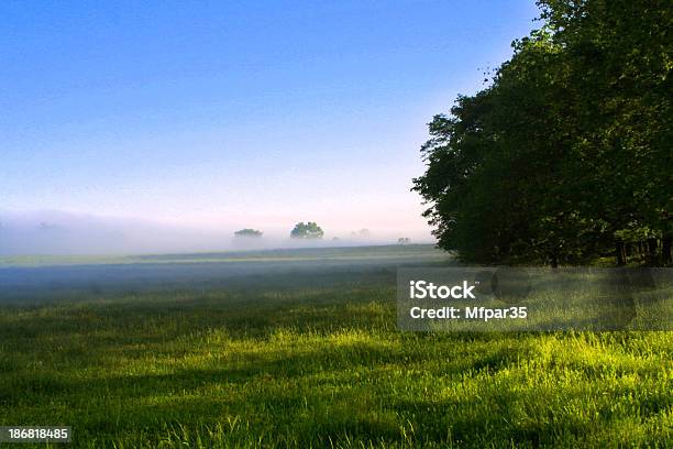 Foto de Grama Meadow e mais fotos de stock de Amarelo - Amarelo, Azul, Beleza