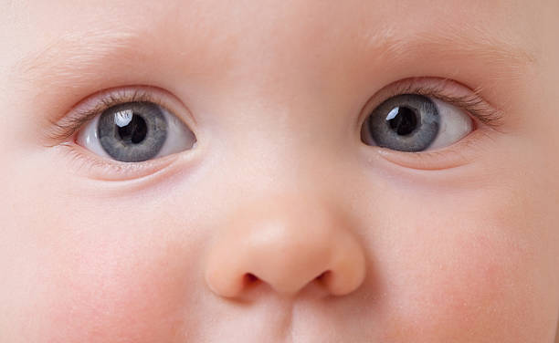 istock Baby girl's eyes and nose 186818548