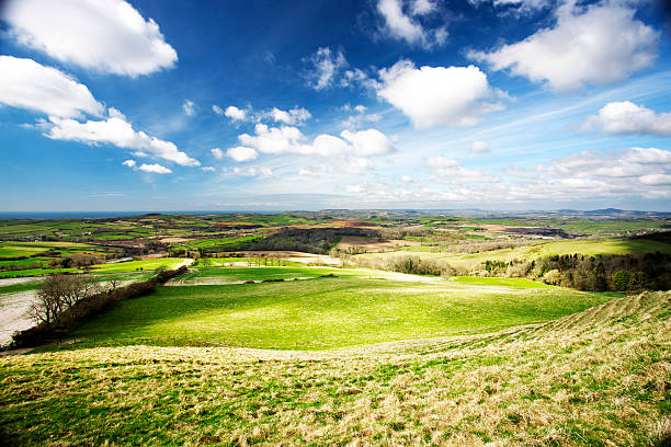 istock Dorset countryside in summer 186818572