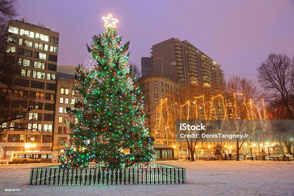 Árbol de Navidad en Boston Common - Foto de stock de Boston - Massachusetts libre de derechos