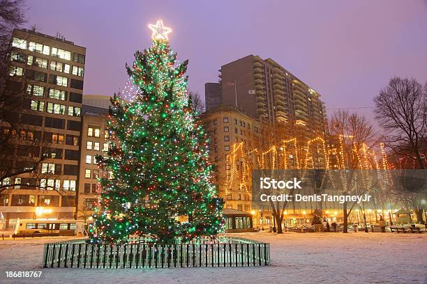 Árbol De Navidad En Boston Common Foto de stock y más banco de imágenes de Boston - Massachusetts - Boston - Massachusetts, Invierno, Massachusetts