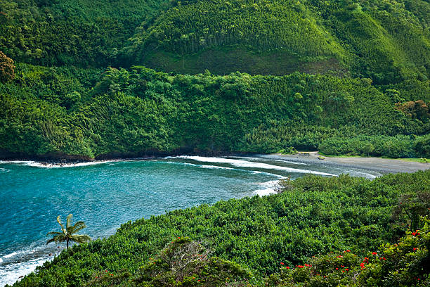 블랙 플라주 - maui hana hawaii islands landscape 뉴스 사진 이미지