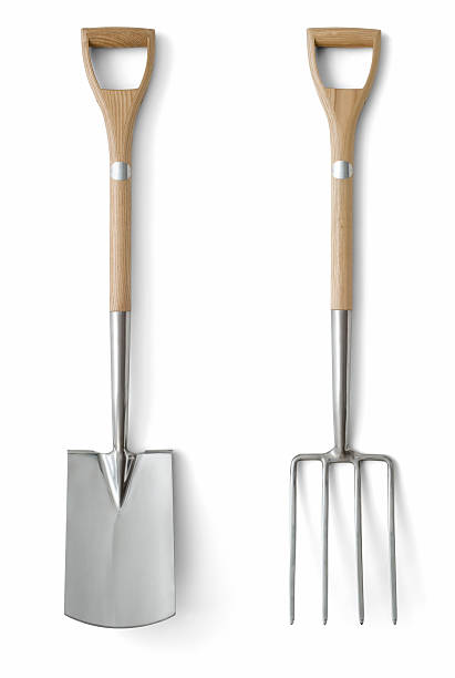 Quality Garden Tools "High quality, stainless steel spade and fork, isolated on white background. Clipping path available on large file." garden fork stock pictures, royalty-free photos & images