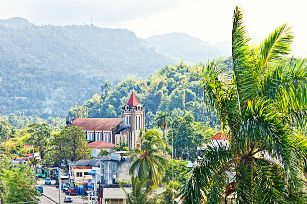 カリブ海の街です。 - tropical rainforest jamaica tropical climate rainforest ストックフォトと画像