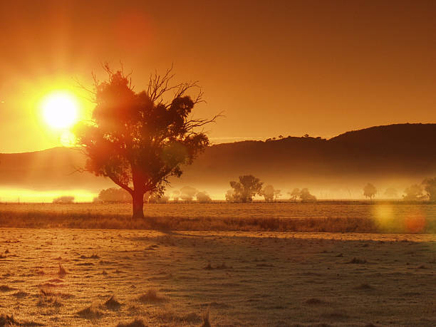 istock Golden sun and glow over the landscape with trees 186819265