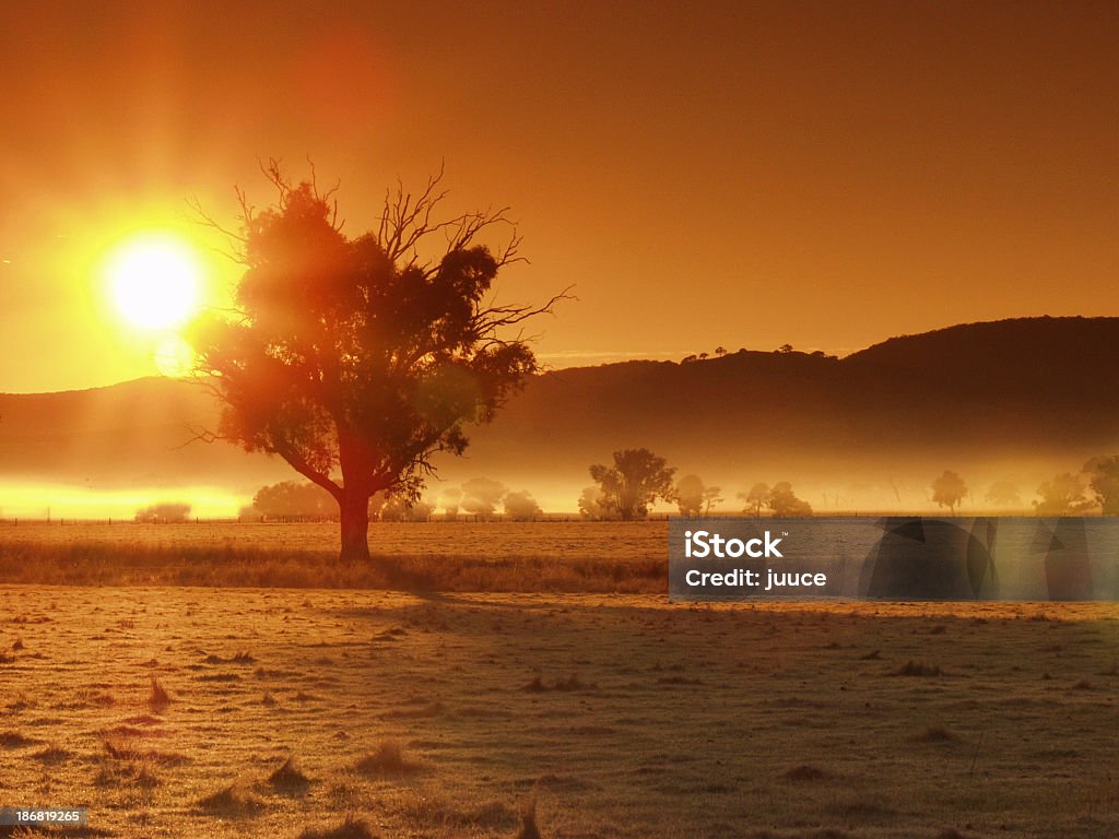 Golden sun and glow over the landscape with trees "Sunrise over Glenrowen, Victoria, Australia" Australia Stock Photo