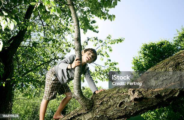 Escalar Uma Árvore - Fotografias de stock e mais imagens de 4-5 Anos - 4-5 Anos, 6-7 Anos, Ao Ar Livre
