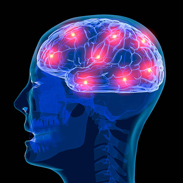 Active brain Digital medical illustration: Lateral (side) view (orthogonal) of human brain, active/in pain. eeg stock pictures, royalty-free photos & images