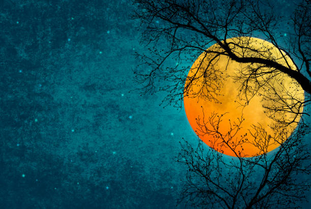 istock Fantasy Full Moon with Tree Silhouettes and Starry Night Sky 1868199956