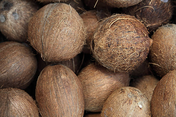 istock Heap of coconuts and cacoa beans 186820223