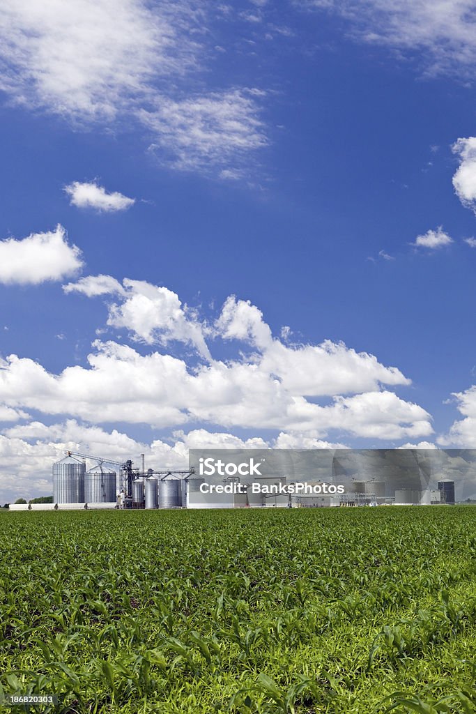 Éthanol Biorefinery Cornfield printemps avec en toile de fond - Photo de Éthanol libre de droits