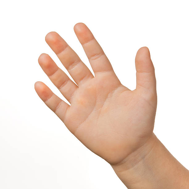 istock Open palm of a child's hand, on white background 186820355