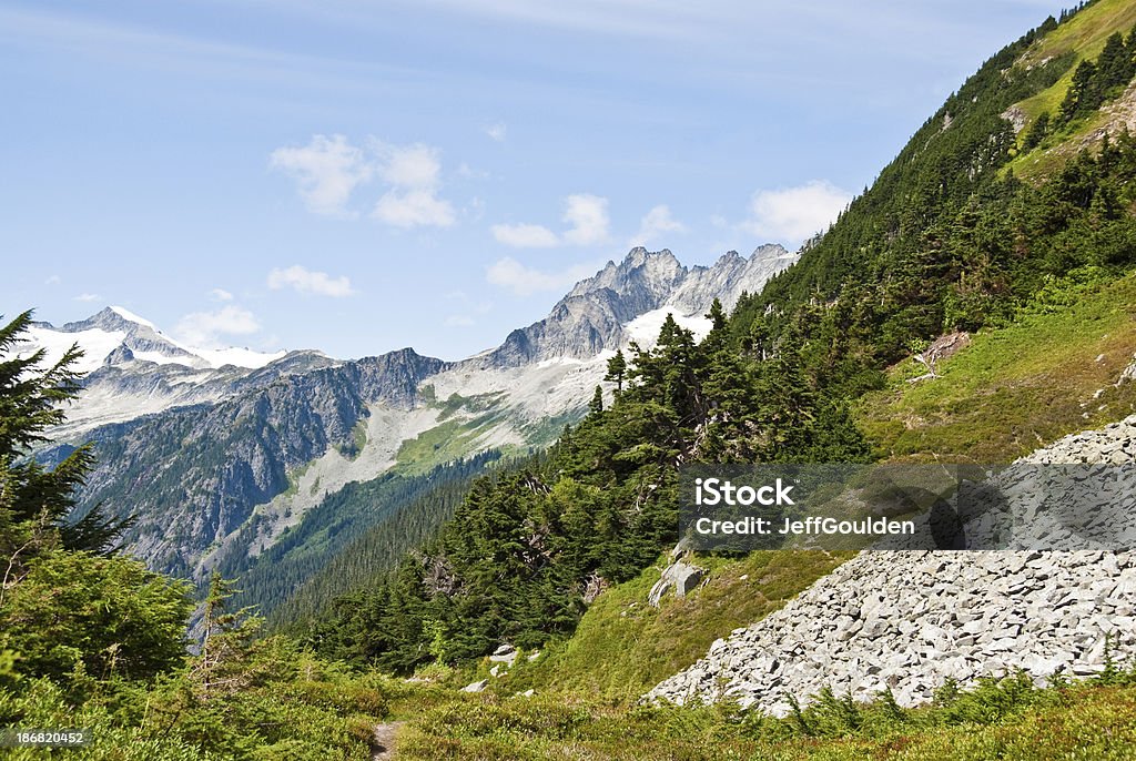 Prohibido y del Valle del río Cascade - Foto de stock de Astrágalo - Tarso libre de derechos