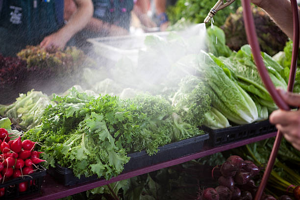 Farmer washes fresh lettuce at farmers market stall stock photo