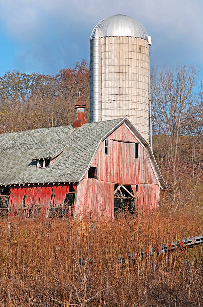 istock Old wooden barn and silo in Wisconsin 186820972