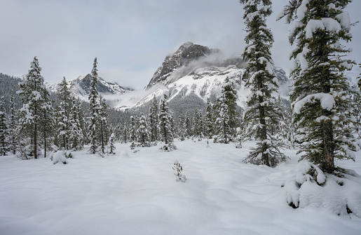 Winter view of Mount Marpole from Emerald Lake in Yoho National Park, British Columbia, Canada
