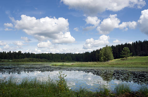 istock Finland Scandinavia summer lake 186821186