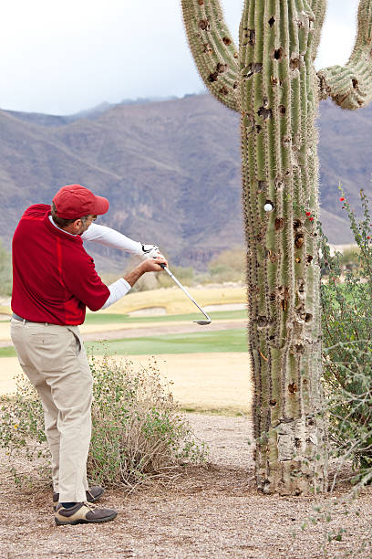 пакет услуг «golfer ударяя мяч для гольфа в дерево - conquering adversity adversity plant desert стоковые фото и изображения