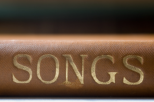 Close up of gold leaf titling on the spine of an antique book of songs.